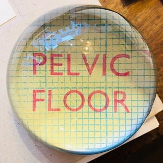 Pelvic floor paperweight
